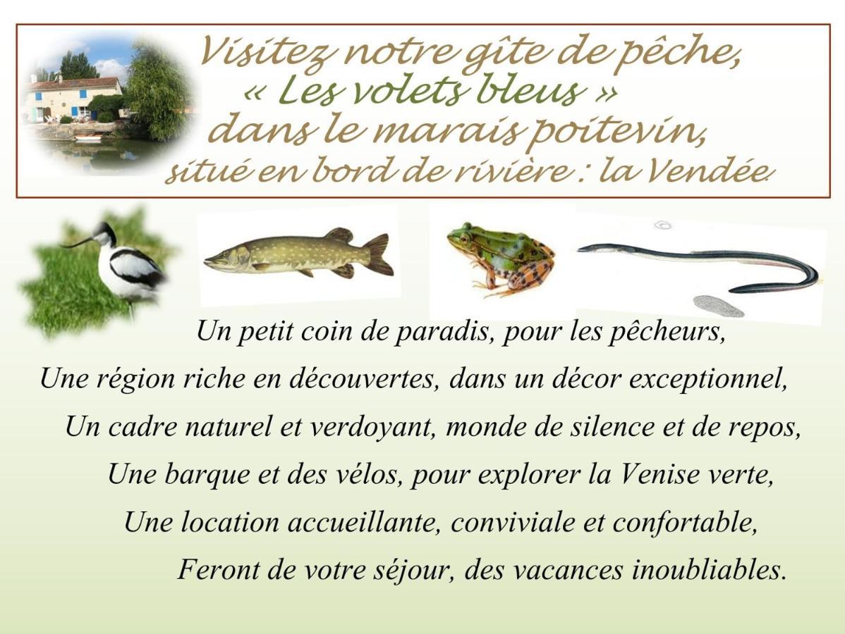 Marais Poitevin Bord Riviere Peche ,Barque, Velos, Wifi, Linge, Cheminee, Cuisine, Terrain De Boules La Taillee Eksteriør bilde