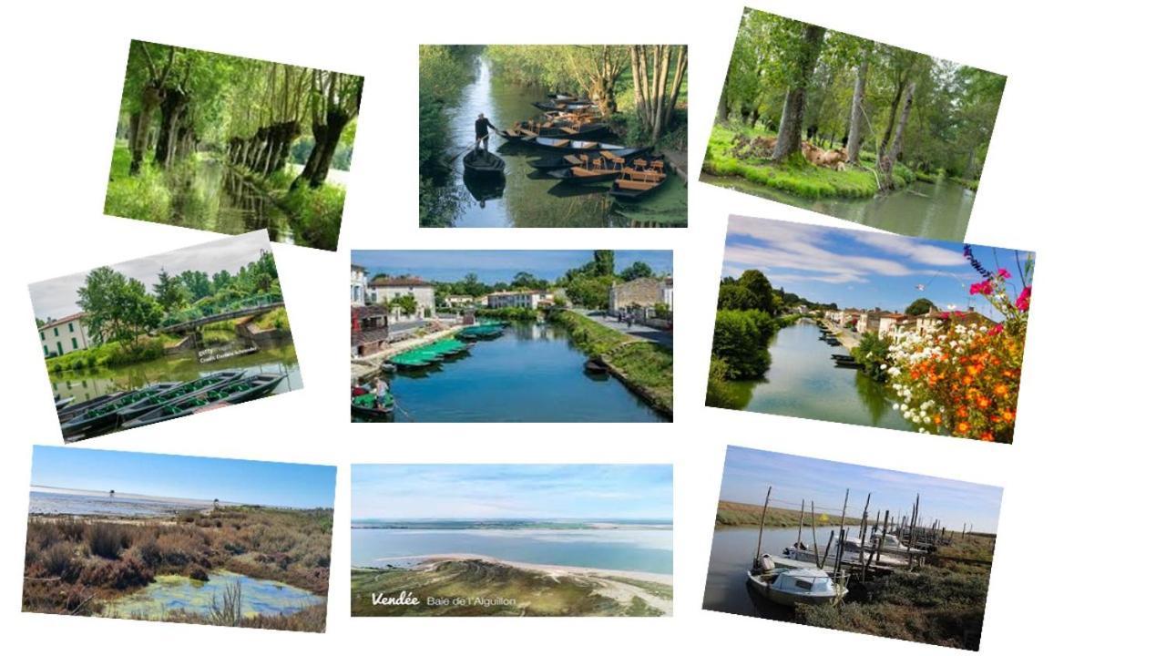 Marais Poitevin Bord Riviere Peche ,Barque, Velos, Wifi, Linge, Cheminee, Cuisine, Terrain De Boules La Taillee Eksteriør bilde